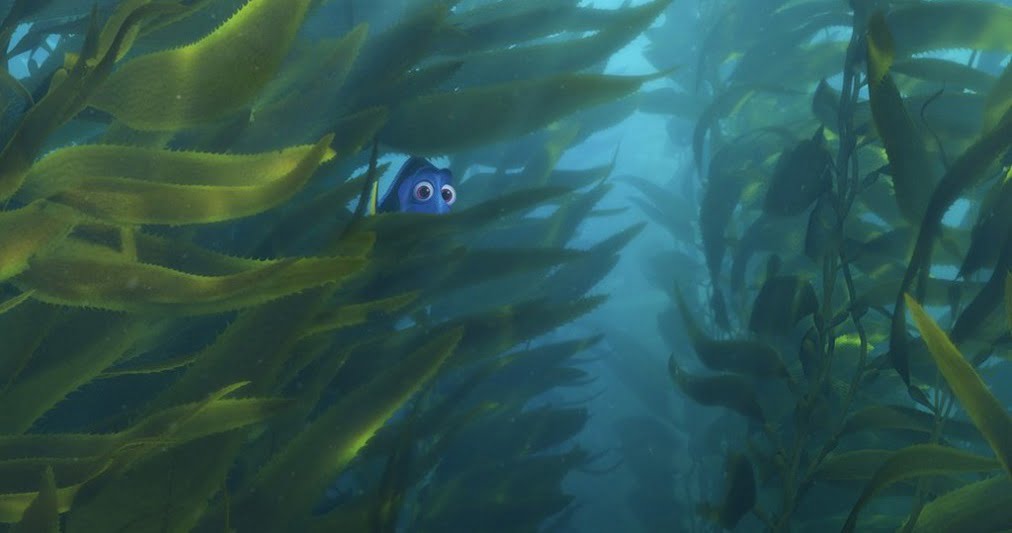 finding dory
